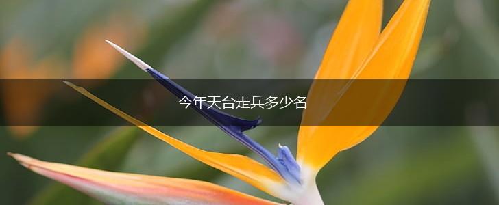 今年天台走兵多少名,第1张