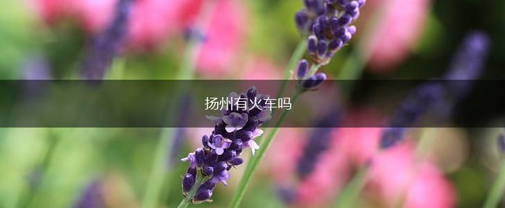 扬州有火车吗,第1张
