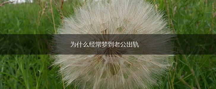 为什么经常梦到老公出轨,第1张