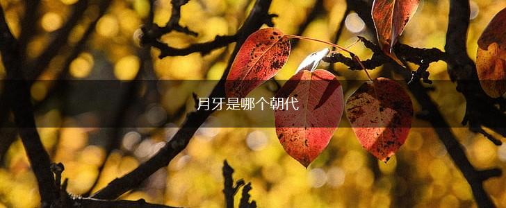 月牙是哪个朝代,第1张