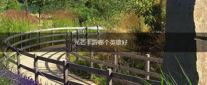 光芒手游哪个英雄好,第1张