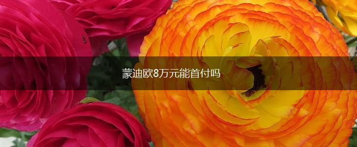 蒙迪欧8万元能首付吗,第1张
