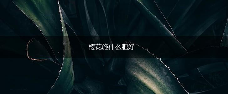 樱花施什么肥好,第1张