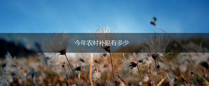 今年农村补贴有多少,第1张