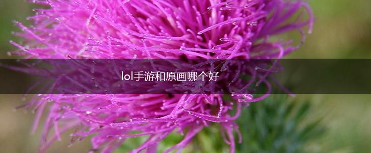 lol手游和原画哪个好,第1张
