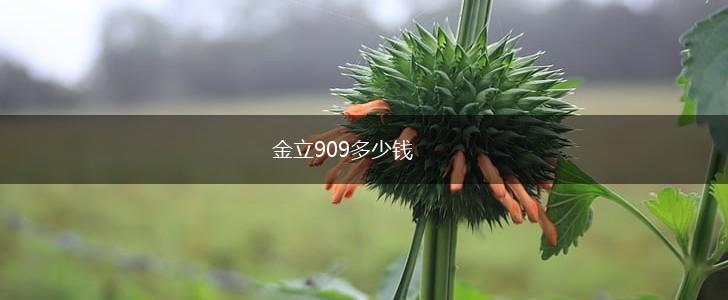 金立909多少钱,第1张