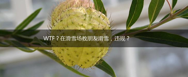 WTF？在滑雪场教朋友滑雪，违规？,第1张