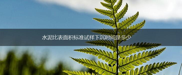 水泥比表面积标准试样下沉时间是多少,第1张