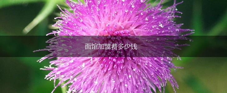 面馆加盟费多少钱,第1张
