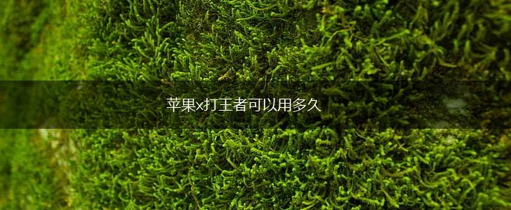 苹果x打王者可以用多久,第1张