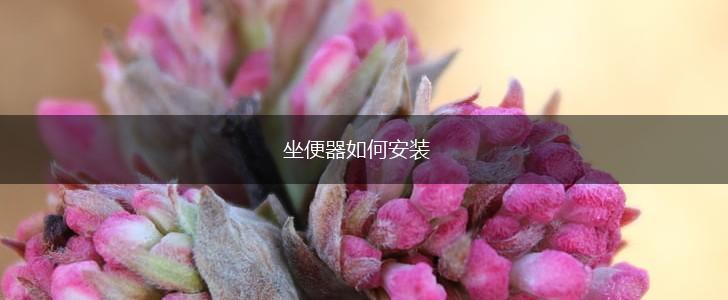 坐便器如何安装,第1张