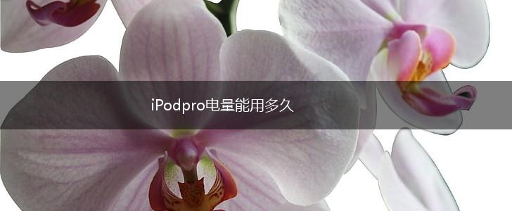 iPodpro电量能用多久,第1张