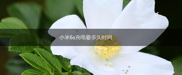 小米6s充电要多久时间,第1张