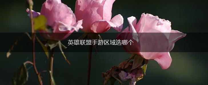 英雄联盟手游区域选哪个,第1张