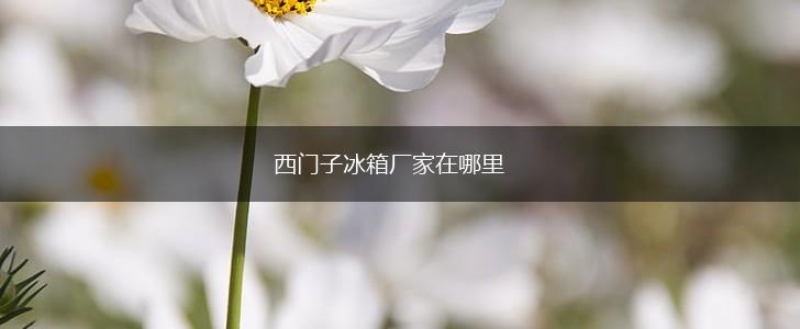 西门子冰箱厂家在哪里,第1张