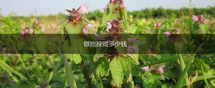 微挖投资多少钱,第1张