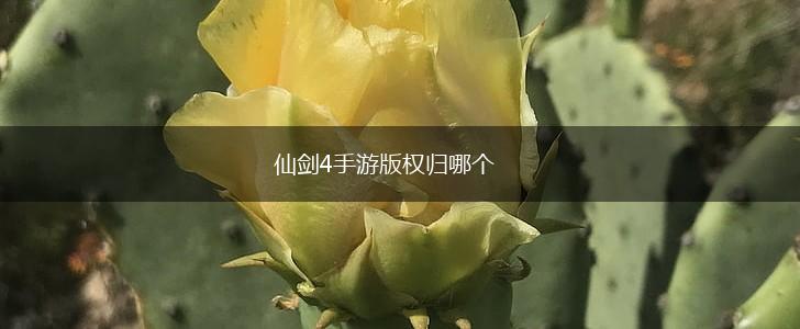 仙剑4手游版权归哪个,第1张