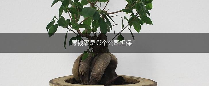 零钱罐是哪个公司担保,第1张
