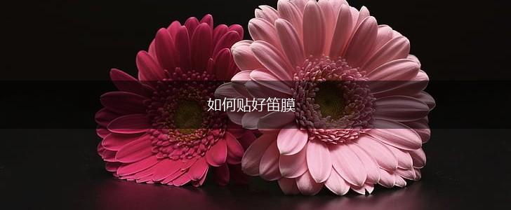 如何贴好笛膜,第1张
