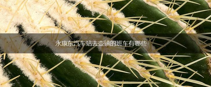 永康东汽车站去壶镇的班车有哪些,第1张