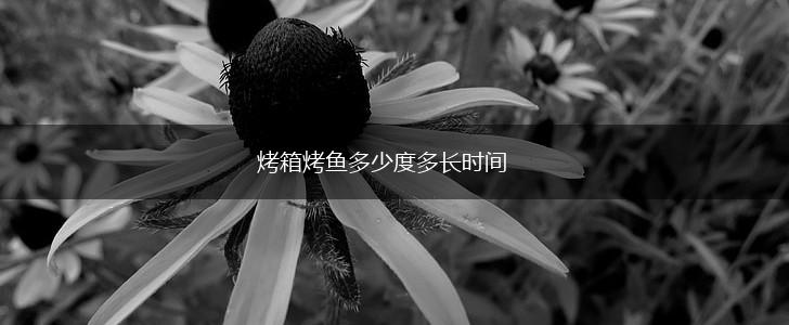 烤箱烤鱼多少度多长时间,第1张