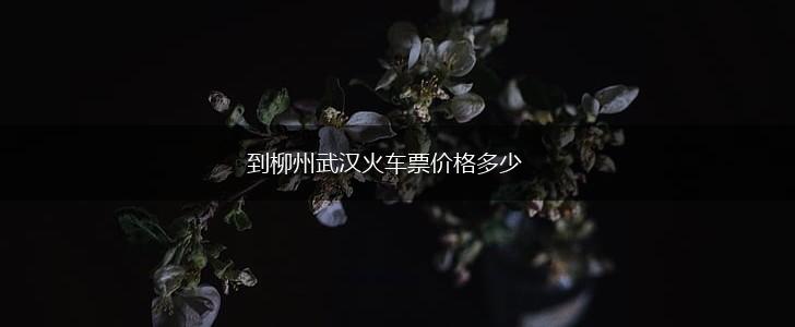 到柳州武汉火车票价格多少,第1张