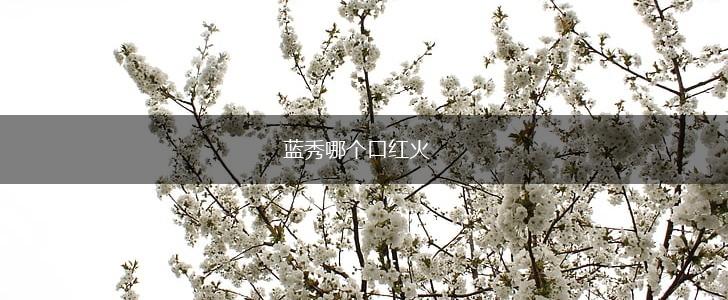 蓝秀哪个口红火,第1张
