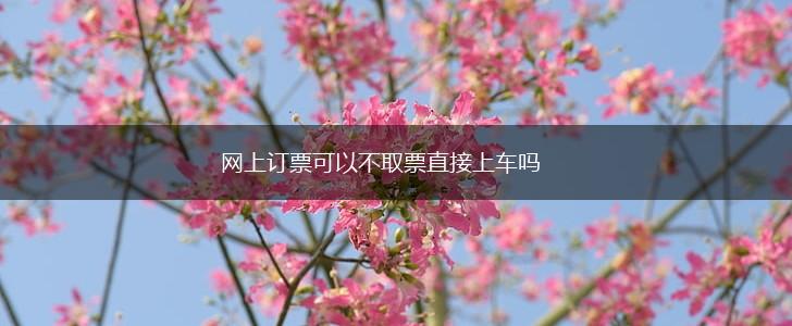 网上订票可以不取票直接上车吗,第1张
