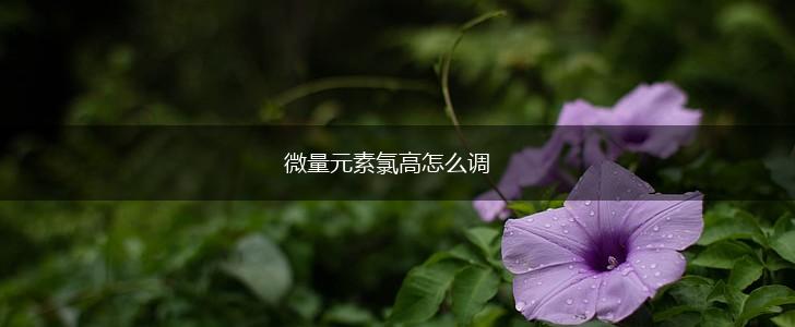 微量元素氯高怎么调,第1张