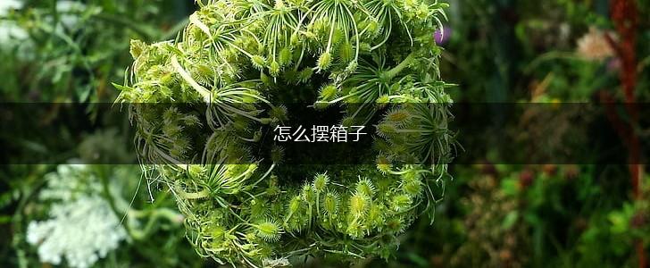 怎么摆箱子,第1张
