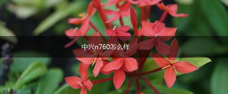 中兴n760怎么样,第1张
