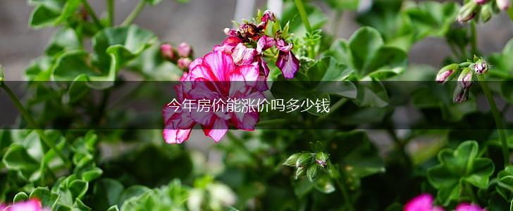 今年房价能涨价吗多少钱,第1张