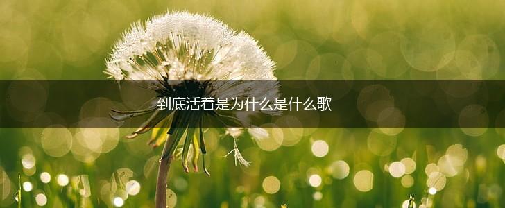 到底活着是为什么是什么歌,第1张