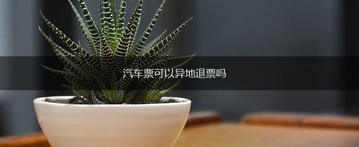 汽车票可以异地退票吗,第1张