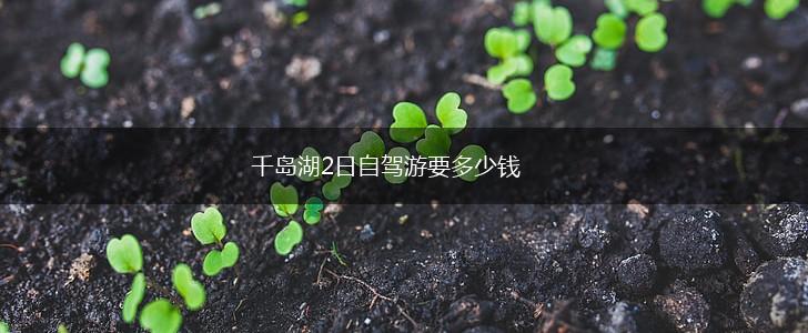 千岛湖2日自驾游要多少钱,第1张