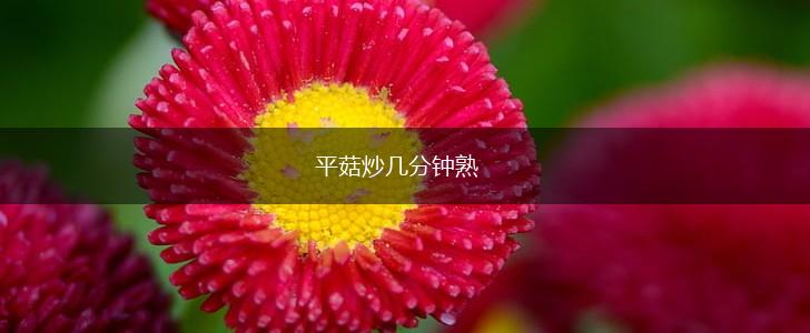 平菇炒几分钟熟,第1张