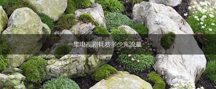一集电视剧耗费多少兆流量,第1张