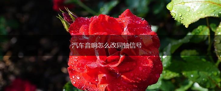 汽车音响怎么改同轴信号,第1张