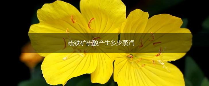 硫铁矿硫酸产生多少蒸汽,第1张