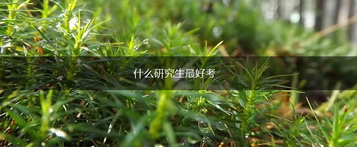 什么研究生最好考,第1张