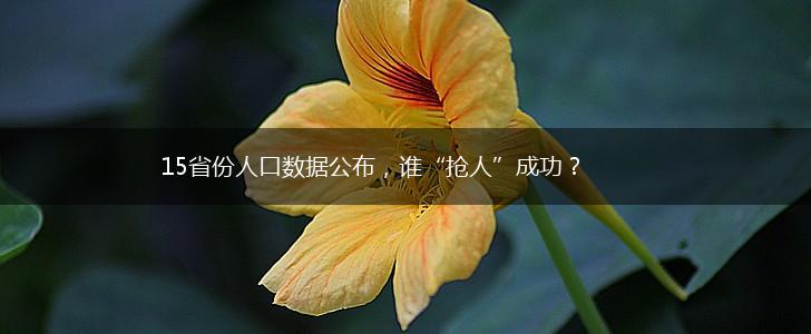 15省份人口数据公布，谁“抢人”成功？,第1张