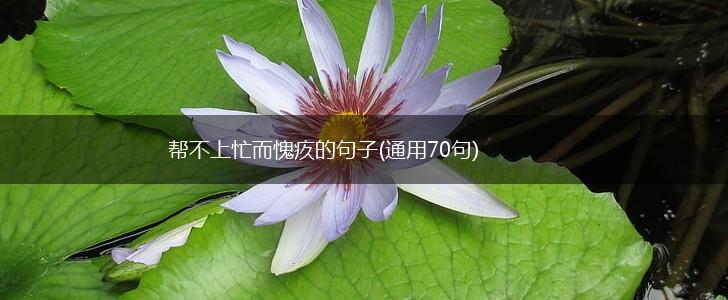 帮不上忙而愧疚的句子(通用70句),第1张