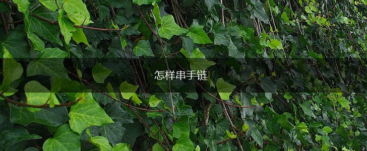 怎样串手链,第1张