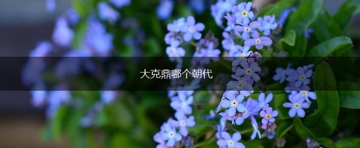 大克鼎哪个朝代,第1张