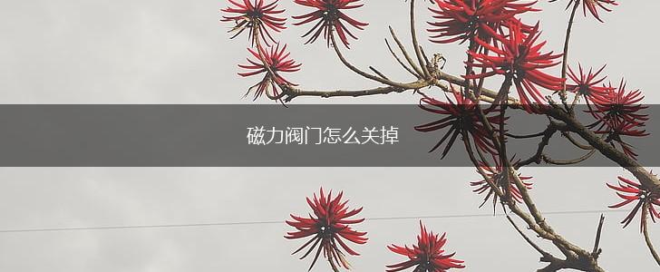 磁力阀门怎么关掉,第1张