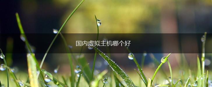 国内虚拟主机哪个好,第1张