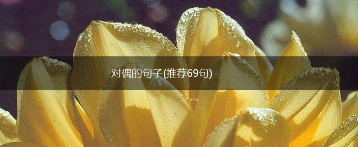 对偶的句子(推荐69句),第1张