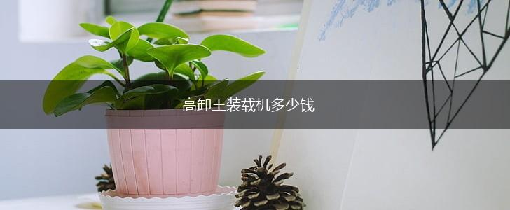 高卸王装载机多少钱,第1张
