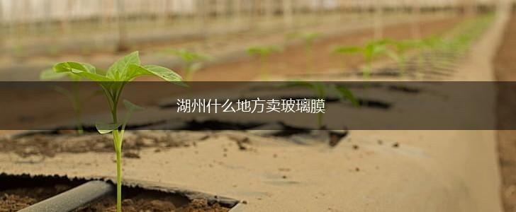 湖州什么地方卖玻璃膜,第1张