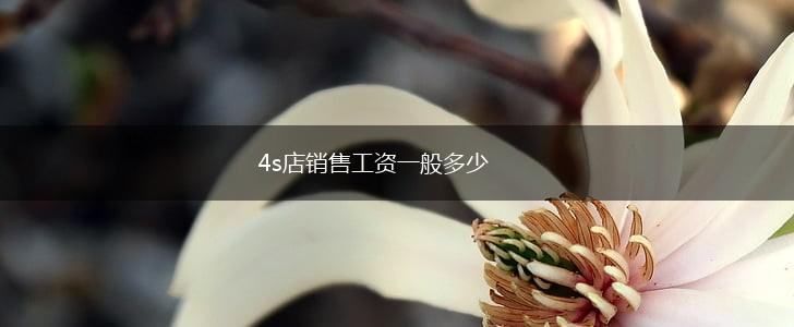 4s店销售工资一般多少,第1张